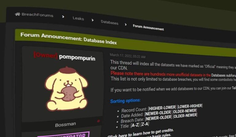 Owner of Breach Forums Pompompurin Arrested in New York