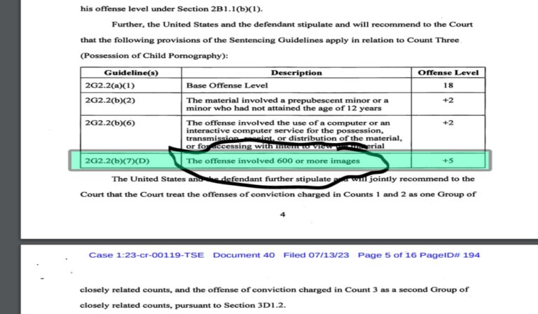 BreachForums’ Pompompurin Pleads Guilty to Holding Child Abuse Content