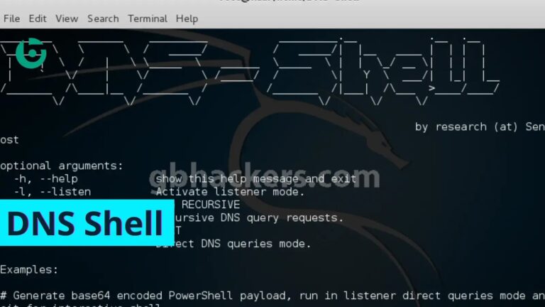 DNS Shell – Compromise & Maintain control Over Victim Machine