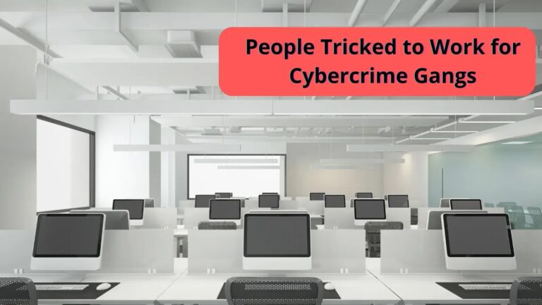 Thousands of Individuals were Rescued from Cybercrime Groups