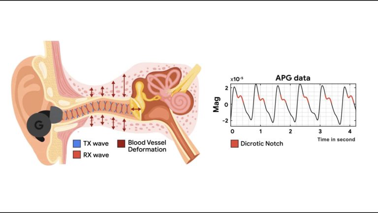 Google researchers can make any ANC earbuds into heart rate trackers