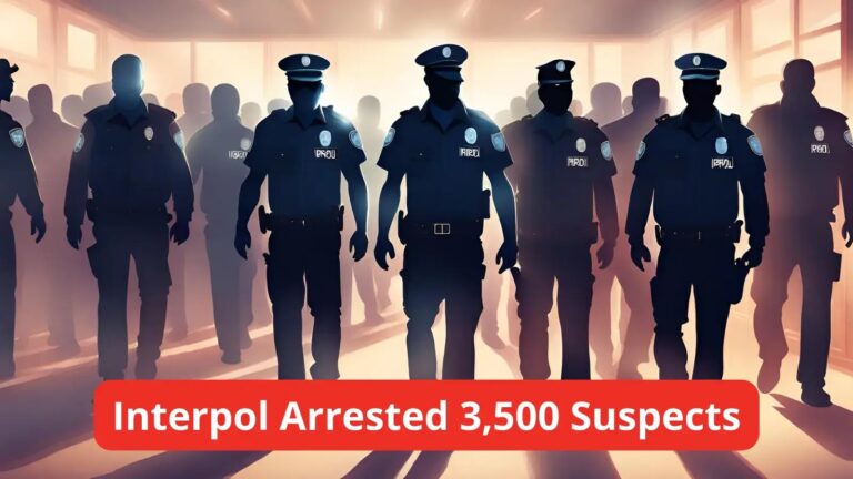 Interpol Arrested 3,500 Suspects and Seized $300 Million