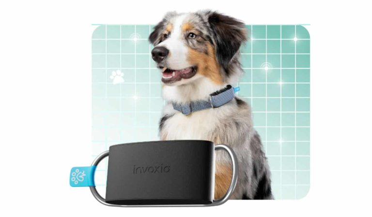 This Smart Dog Collar from Invoxia can keep track of its well-being